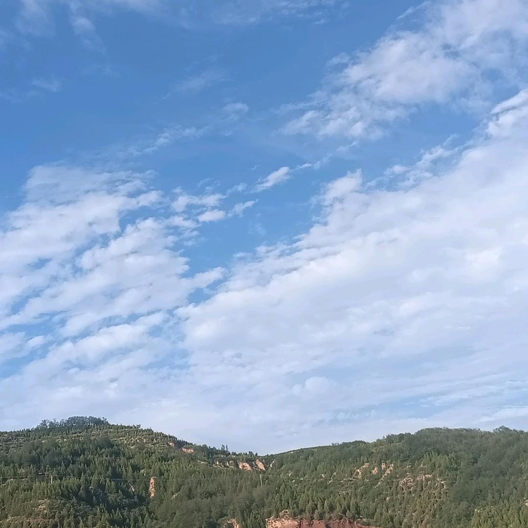 好水果