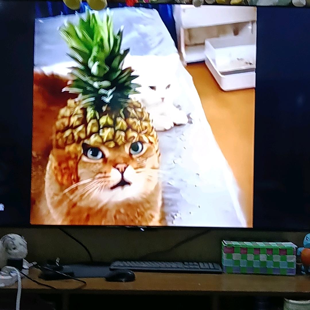 Aug突击步枪卓越