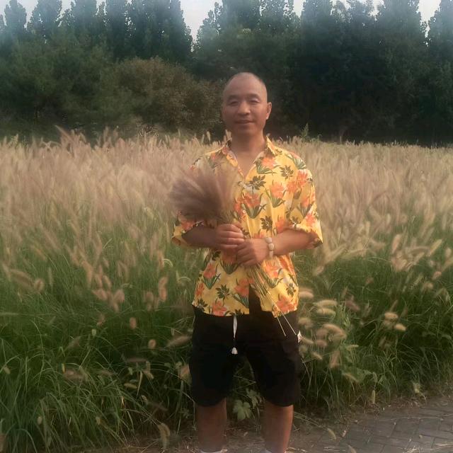 欢乐进行中