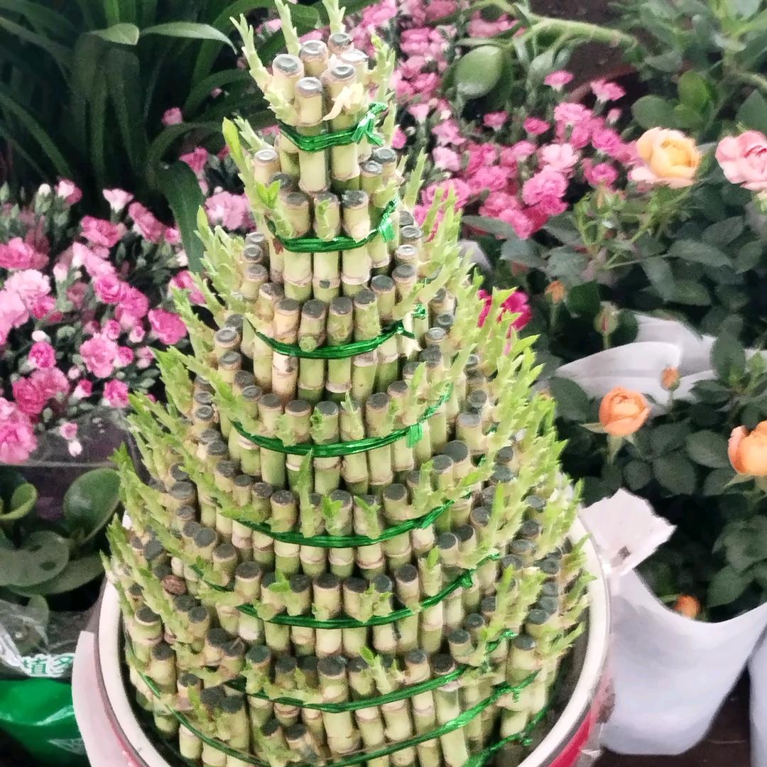 电工，刘学红