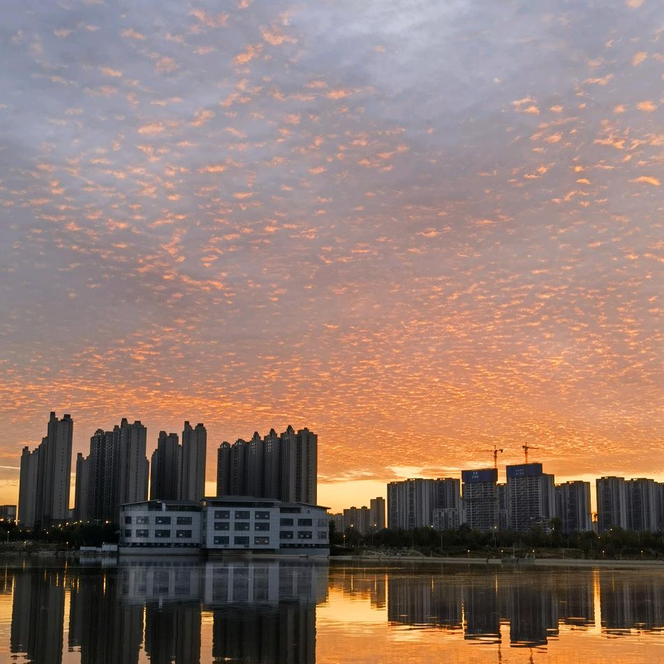 华南科技西北仓