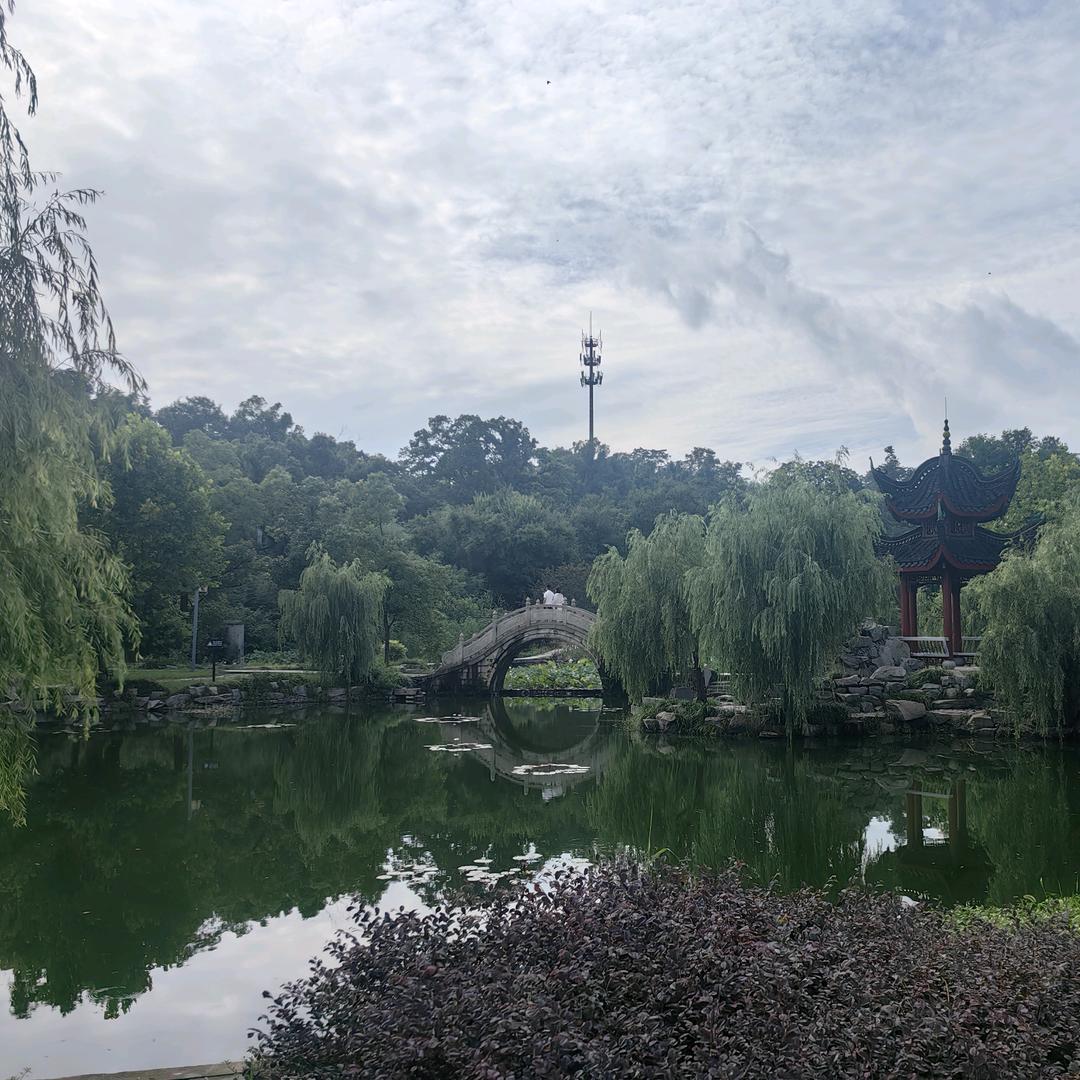 我是阳光灿烂