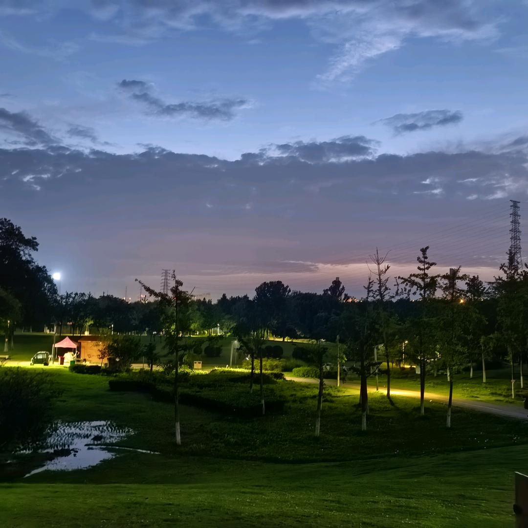 小胡同学