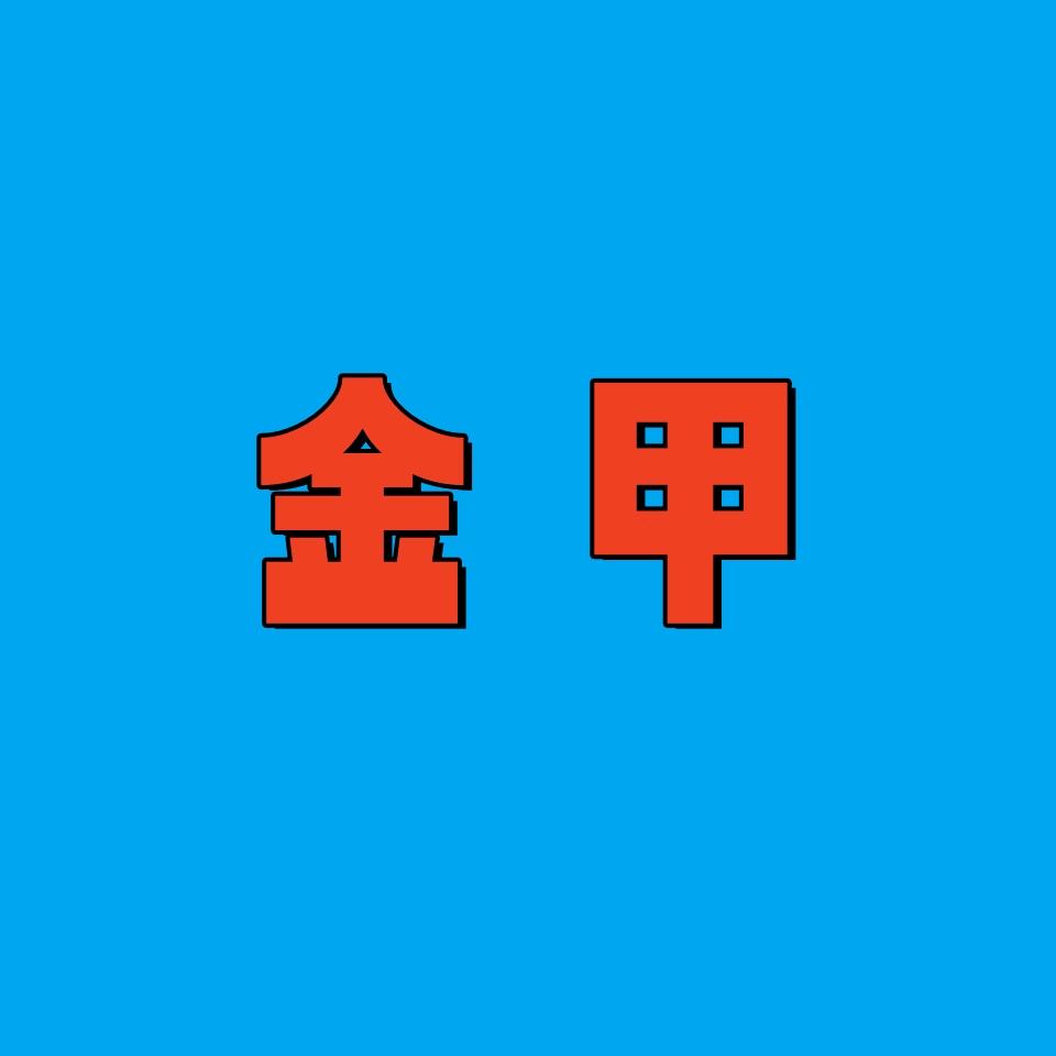 我是金甲
