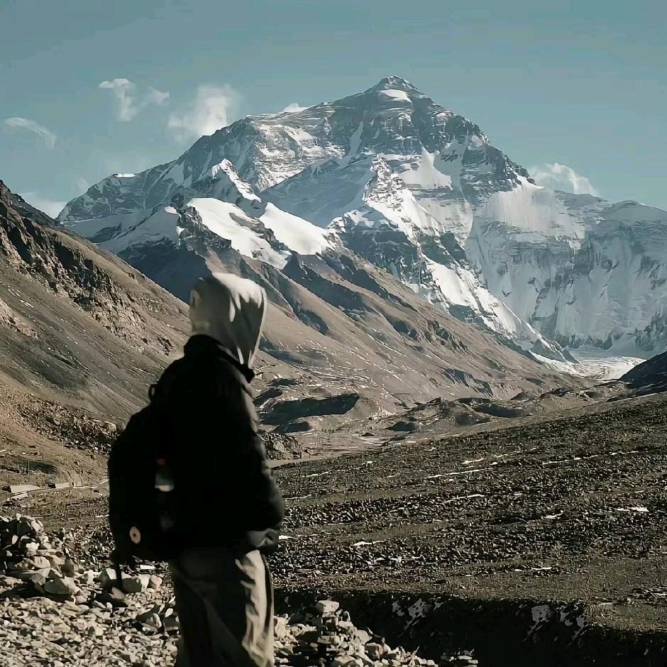 语文课的大馒头
