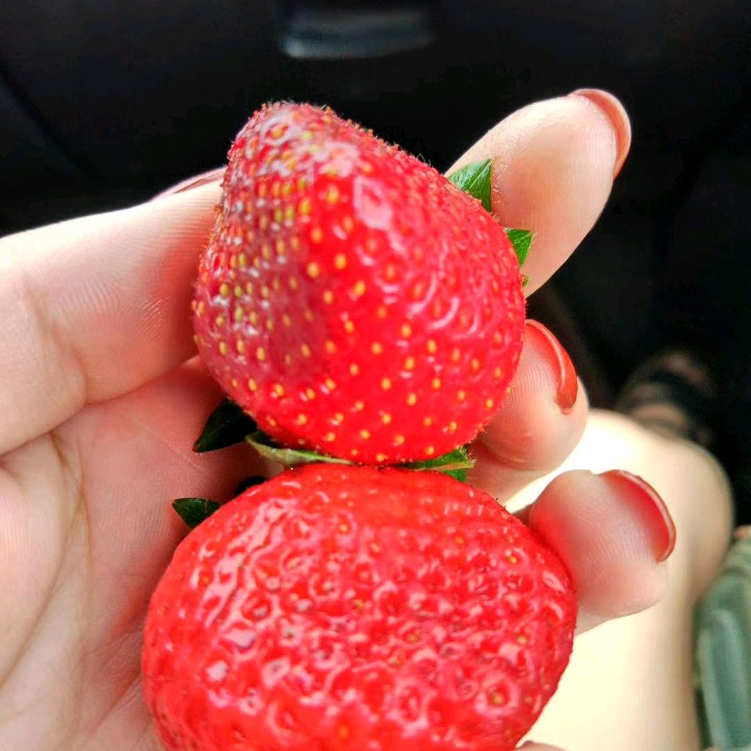 琛琛宝贝
