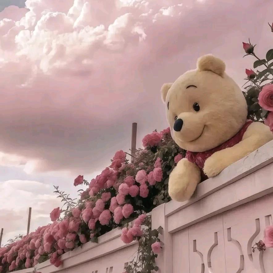 大𖦹ᐝ慧慧୧⍤⃝