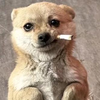 坤核
