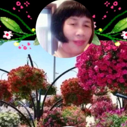 爱你胜过爱自己