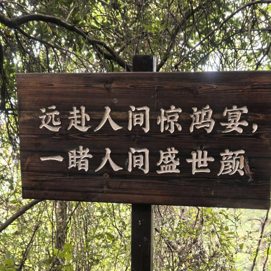 云淡风 轻