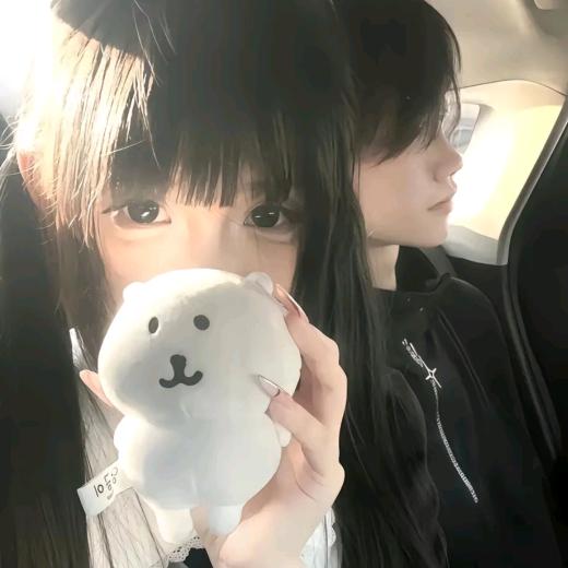 🌈修猫🐾