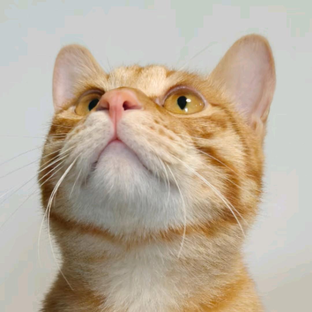 321
