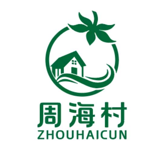 村书记—小帅