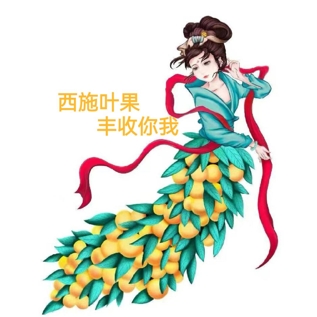 丘北瑞康农业～专业水溶肥～杰哥
