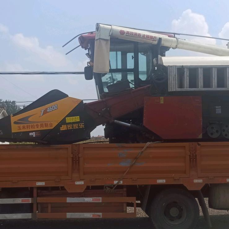 八个动作玩一天