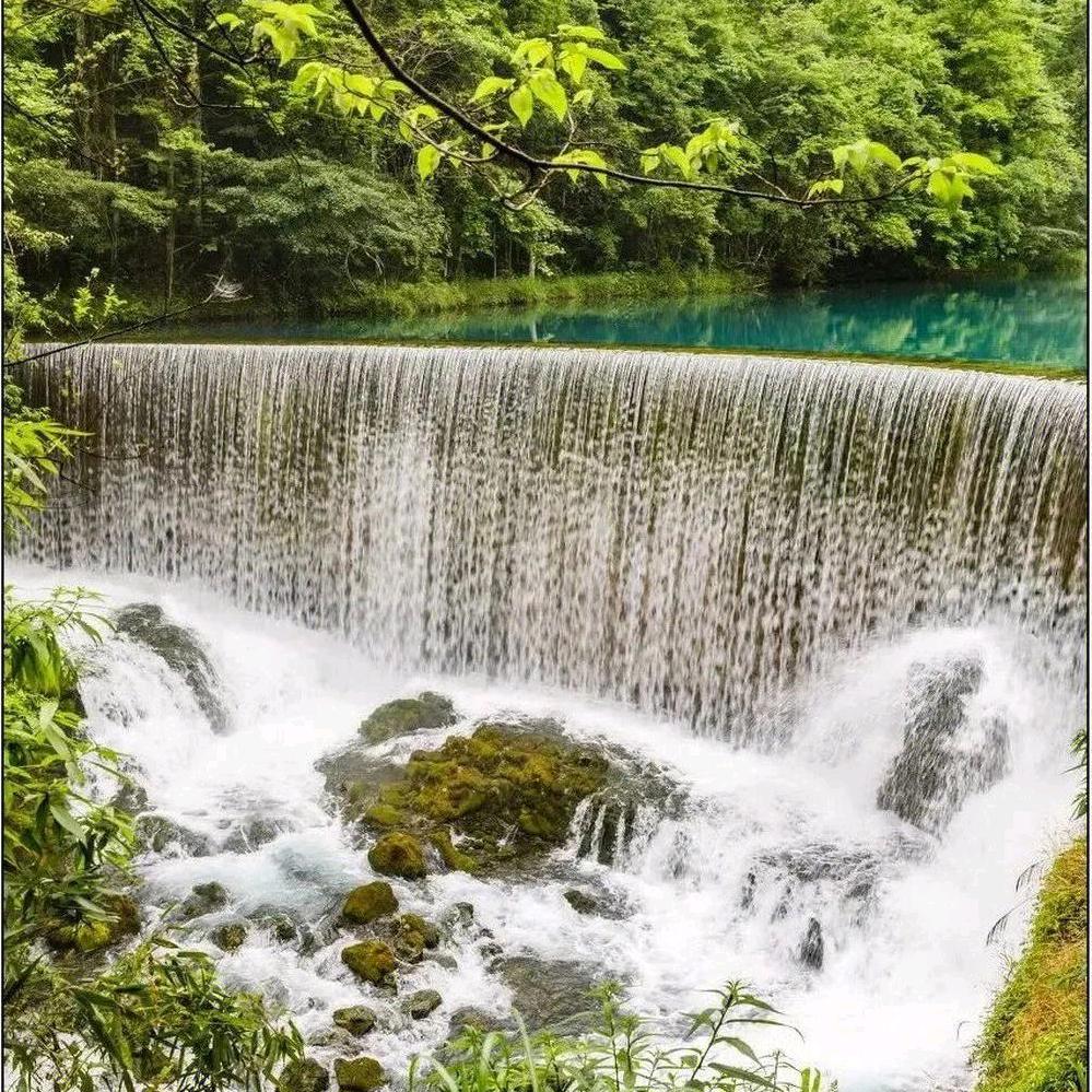 花开即故山