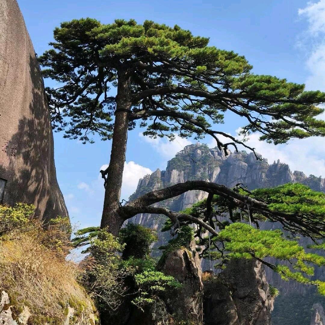 欧阳靖宇