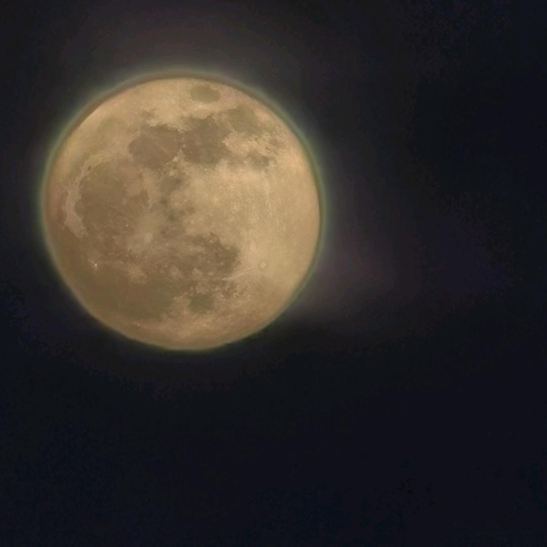 老周爱抽万宝路U・ᴥ・U