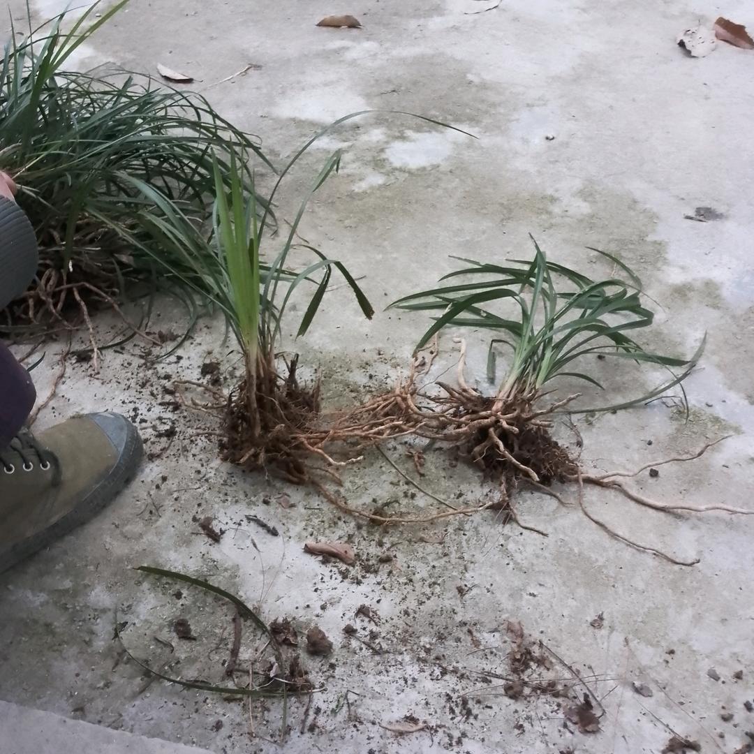 ！？。，-单位上班了吗没有了\V√吗忠V