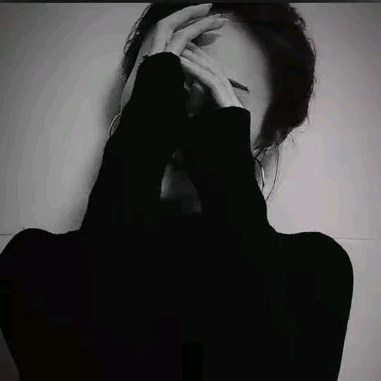 ✨🌺小懒猫🌺✨