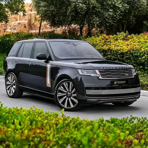 虎翼环保——虎哥