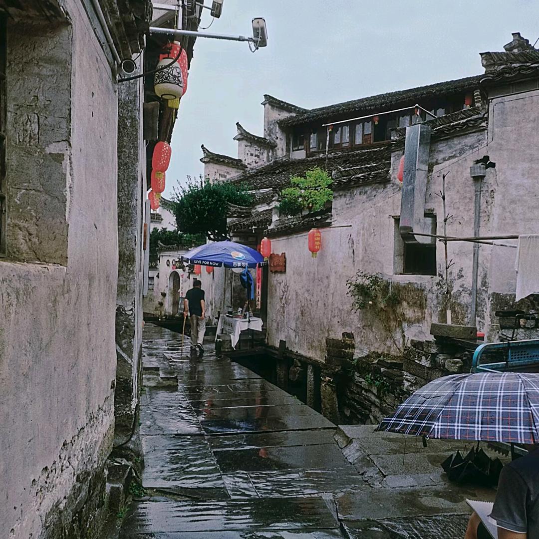 小圆找快递