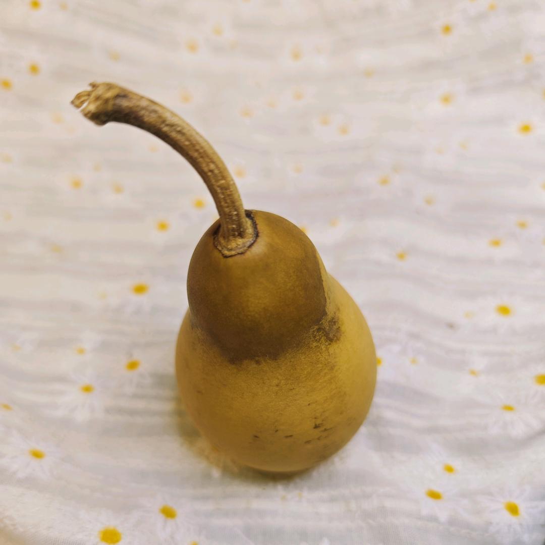 小葫芦世界