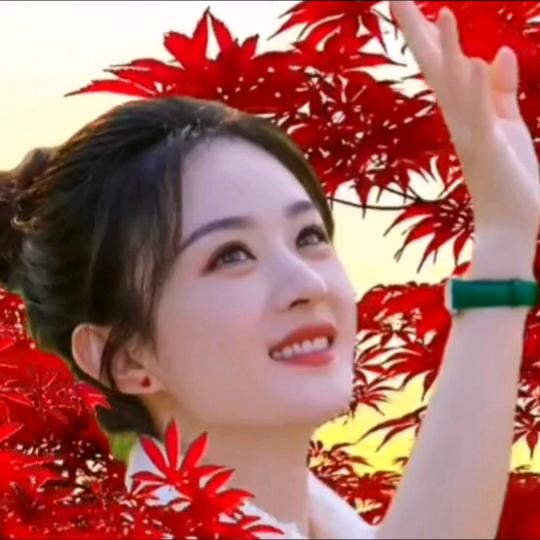 平平淡淡的生活