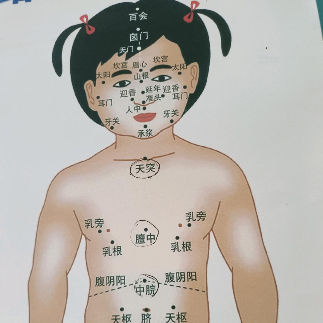 白芍