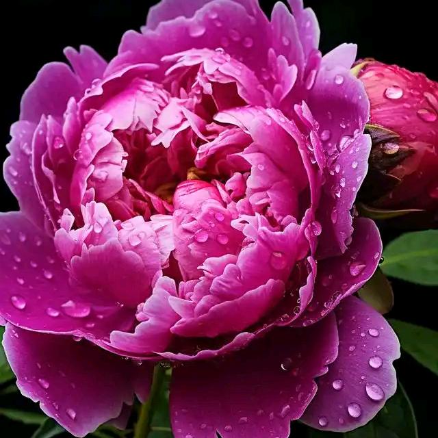 莉红好物严选店（一缕暖阳）