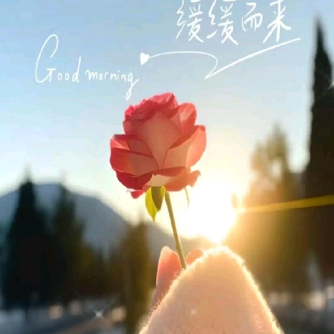 轻舟已过万重山