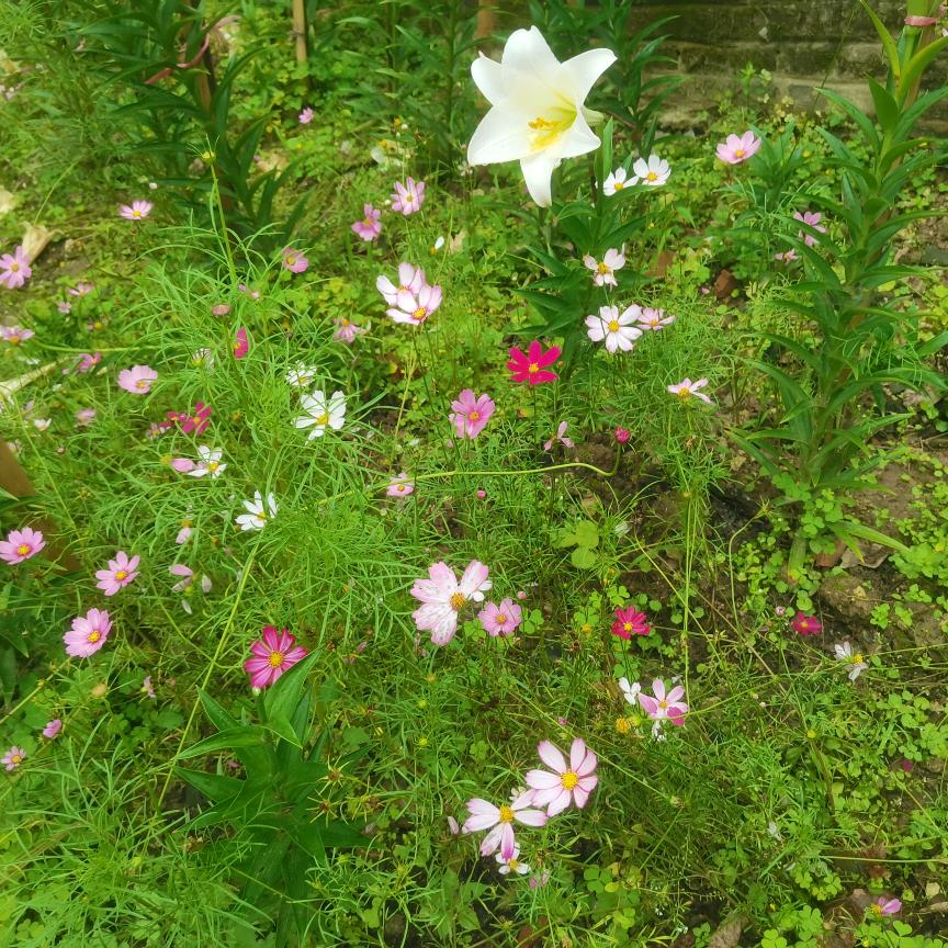 🎈嬛妳（壹）旹💕