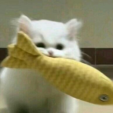 有一天