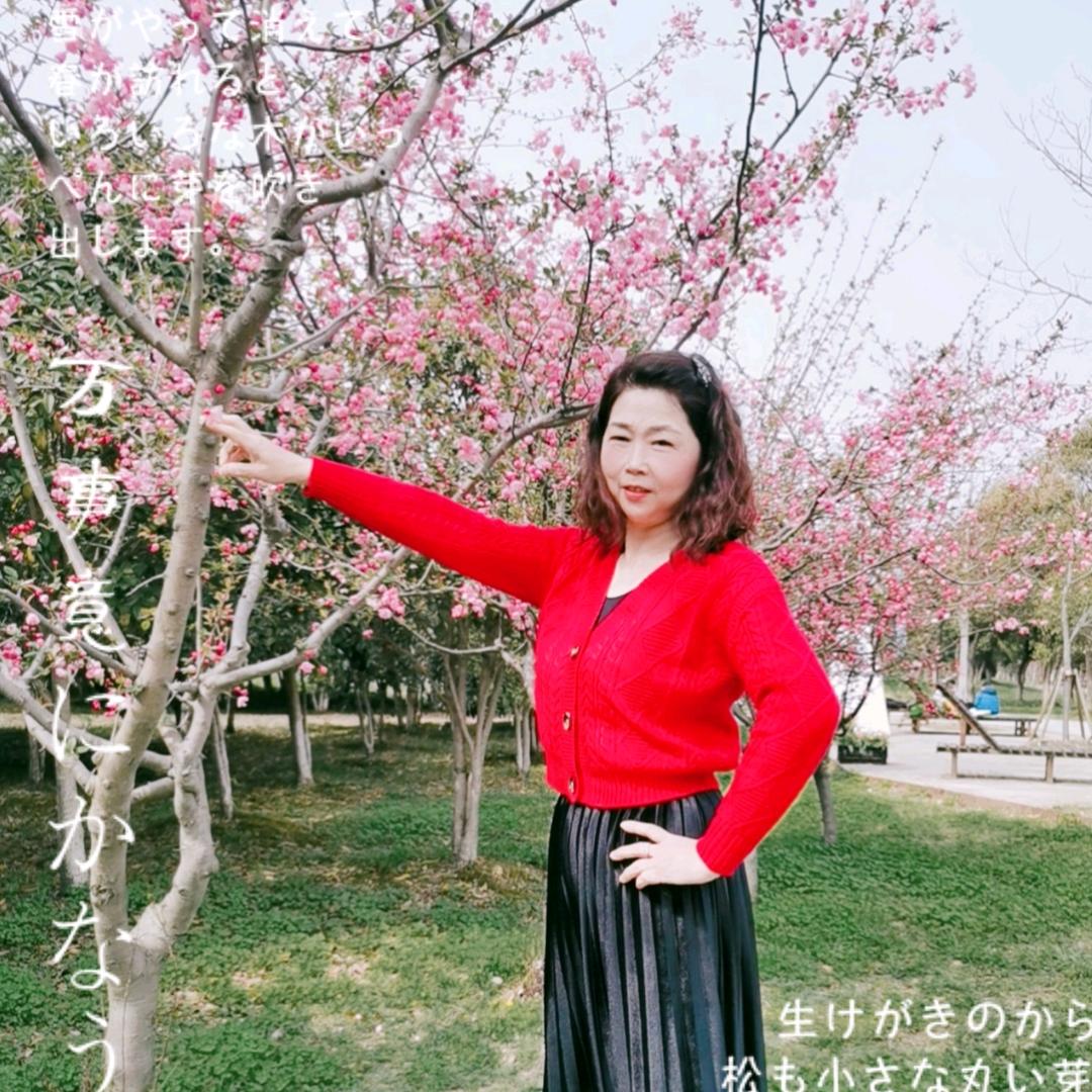 蟹园姐爱舞