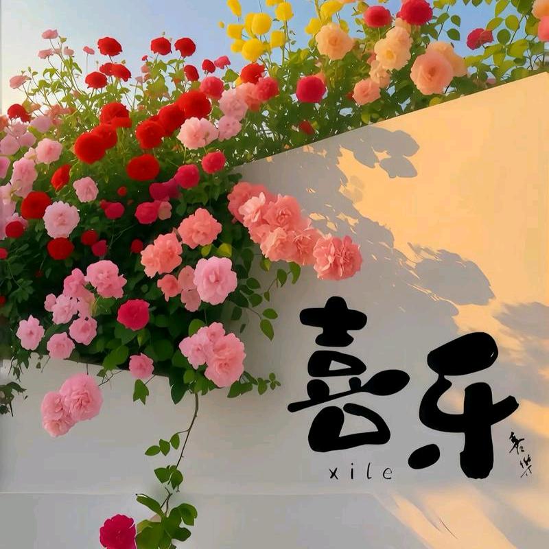 望月爱唱歌🎤🎤⭐️