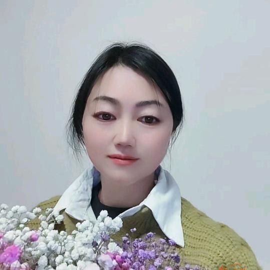 单只蝴蝶