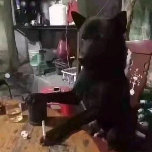 上瘾的囚徒.🚬