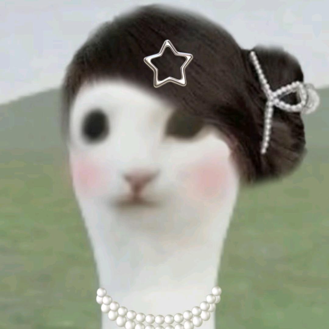 早安圆子