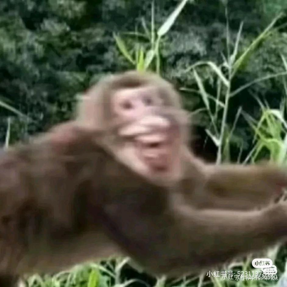 鲲坤