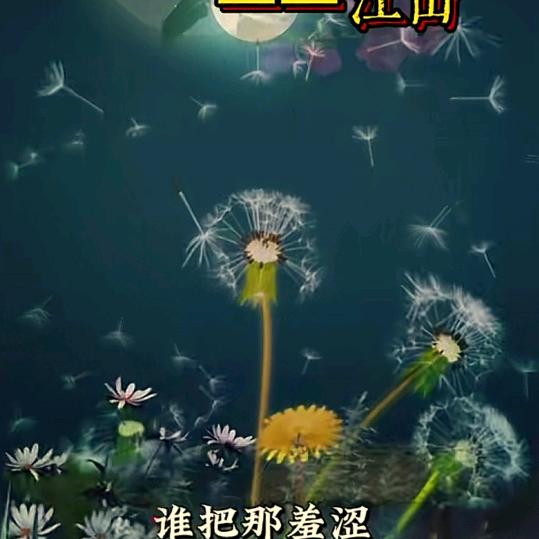开心😊