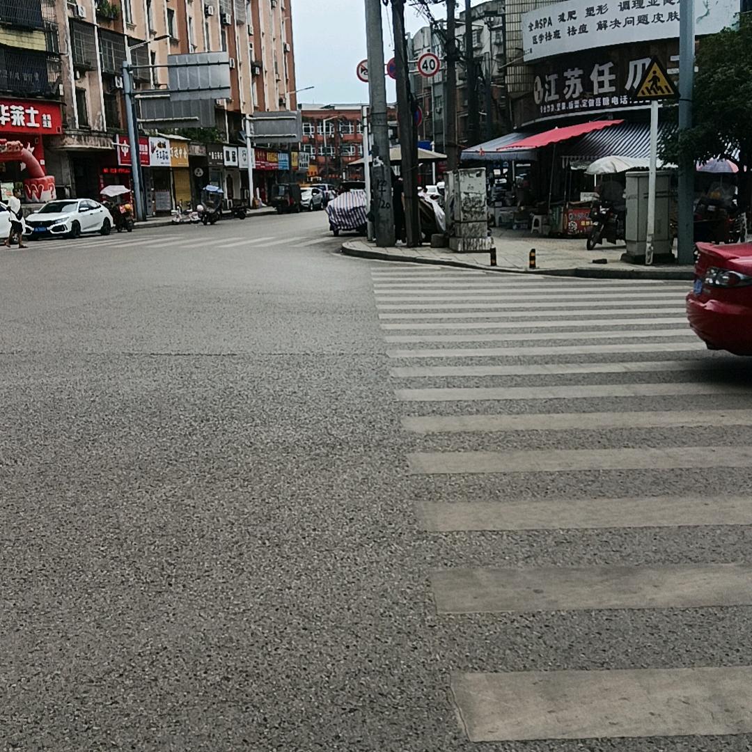 小灰灰啦
