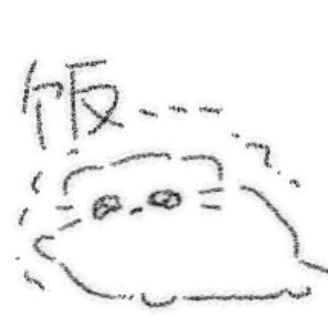 次猫猫