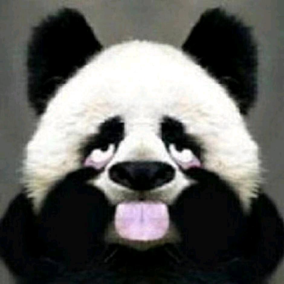 从不墨迹廖某人