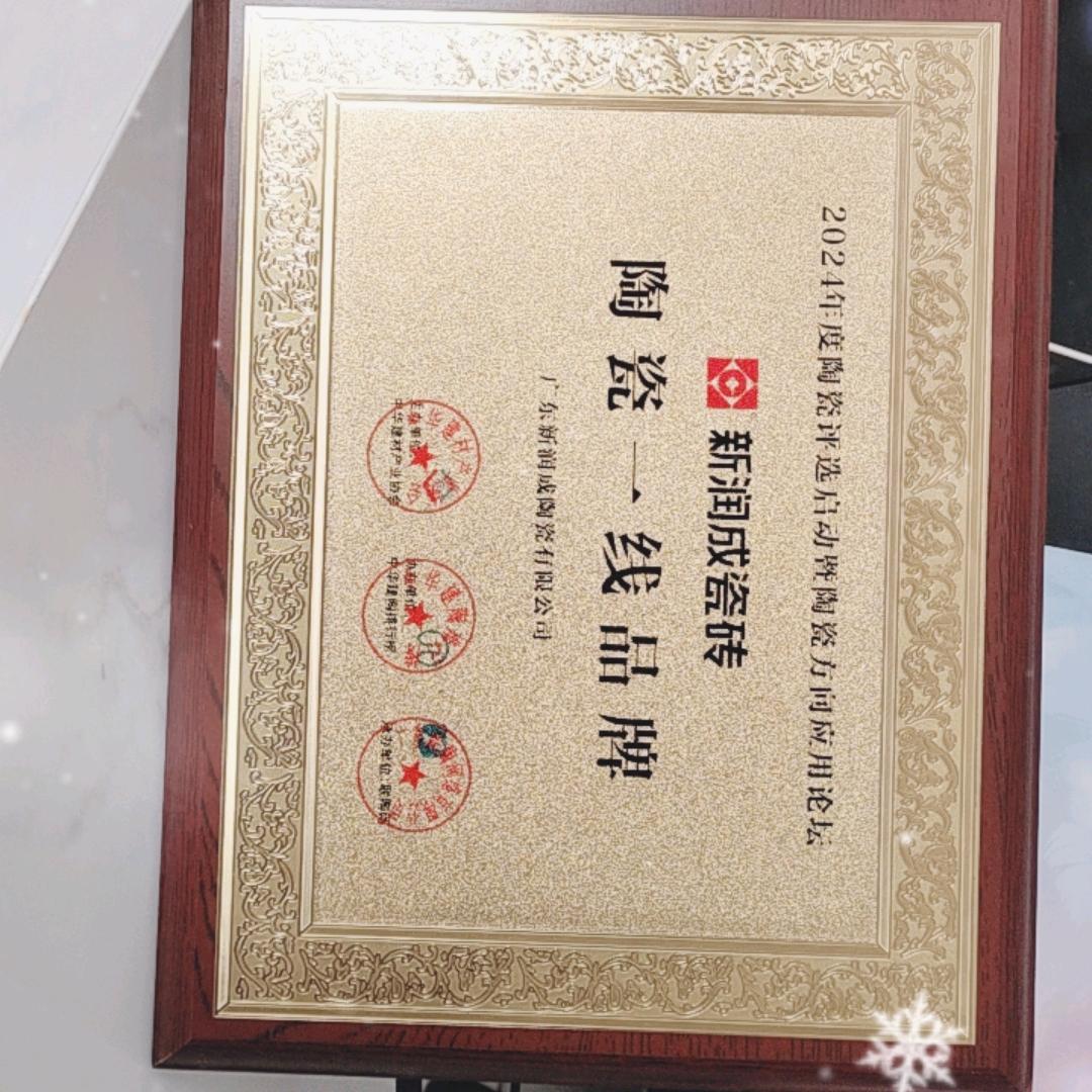 新润成瓷砖  亮