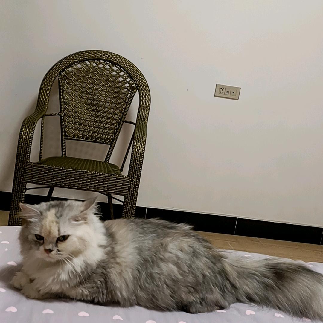 欧阳