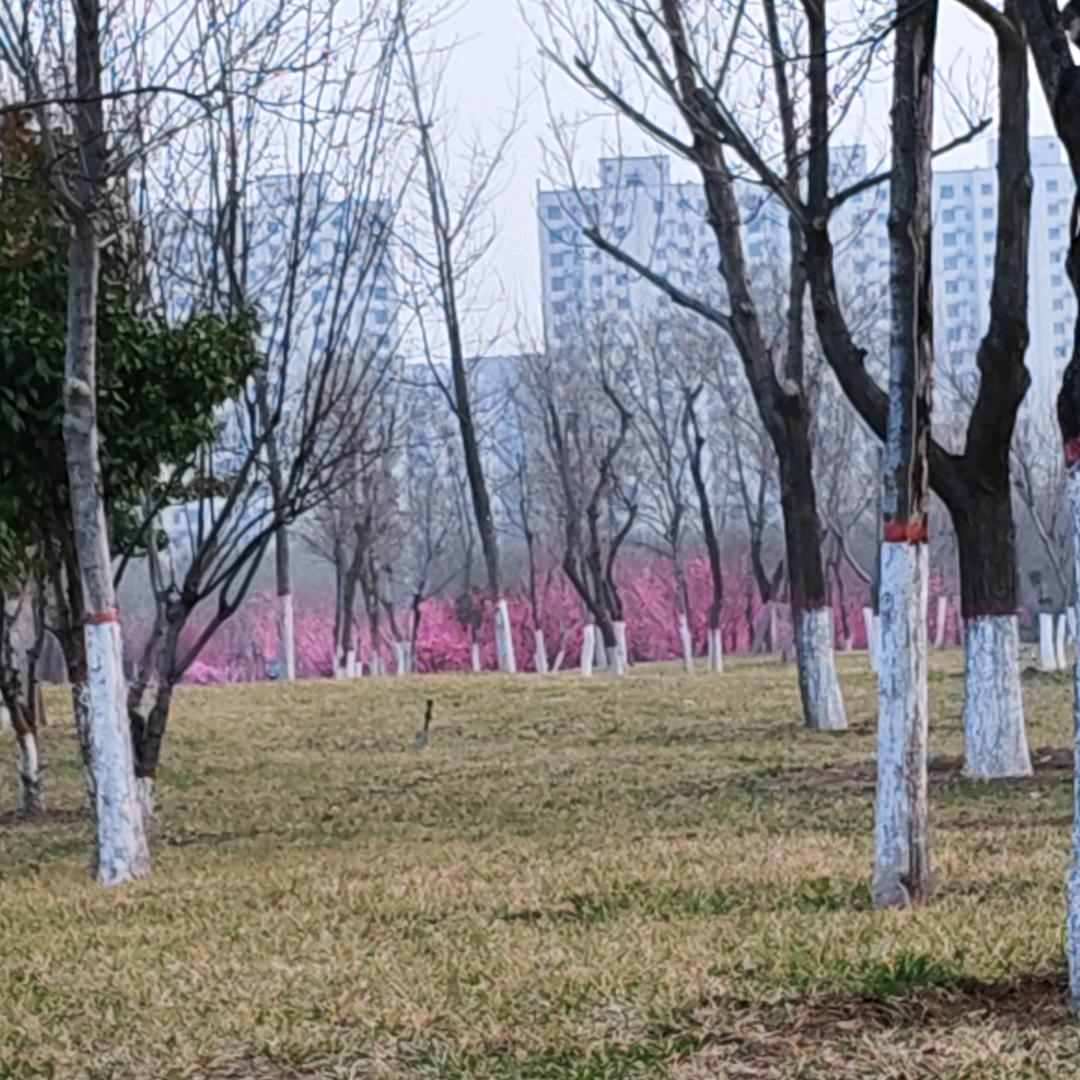 大运归来