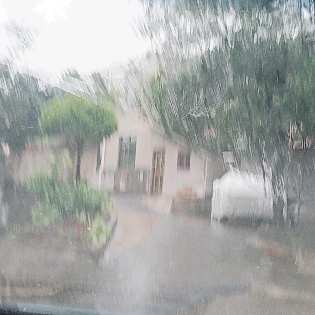 狗尾巴草