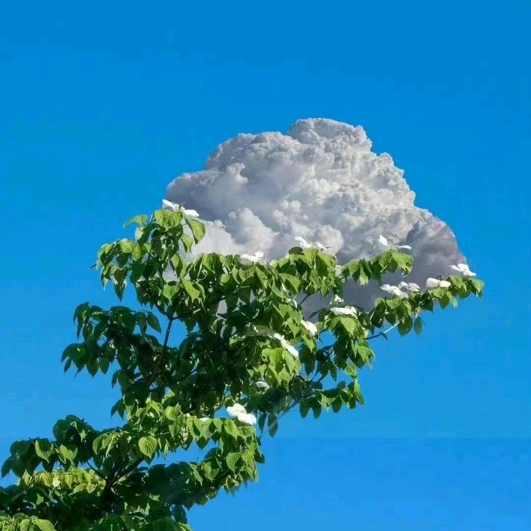 细水长刘