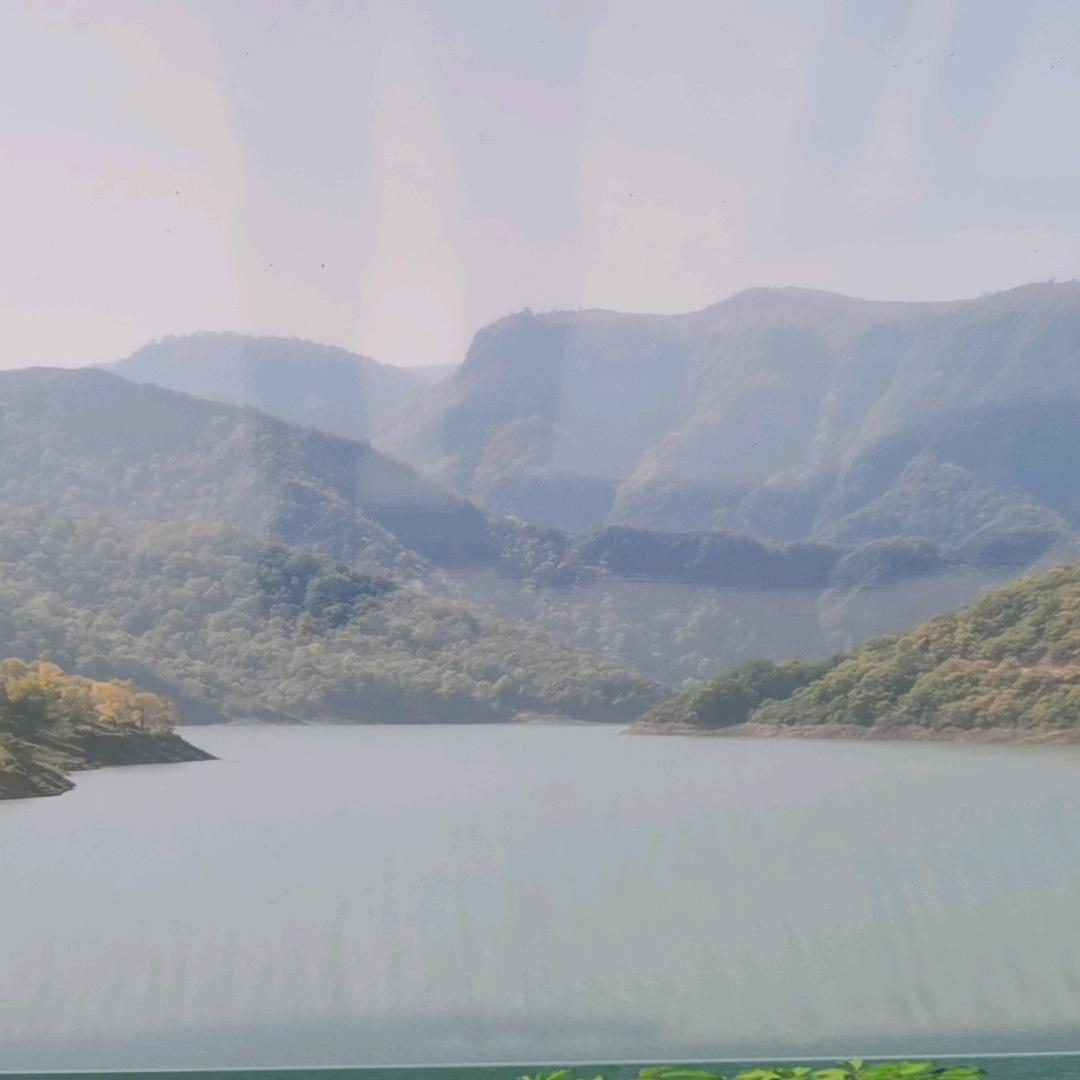 营养与健康涛哥