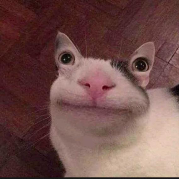 反方向的孝愁😠